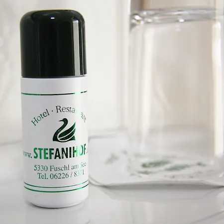 Hotel Hotel-restaurant Stefanihof 3*