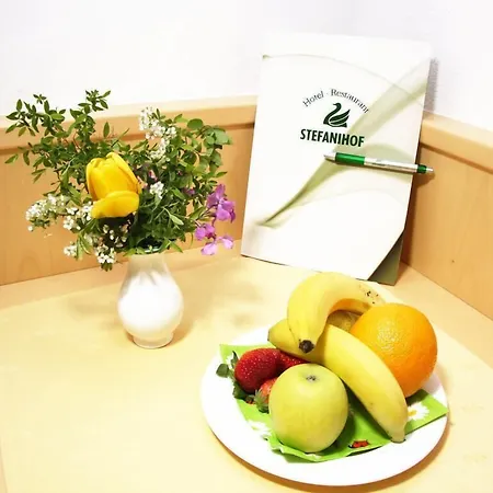 Hotel-restaurant Stefanihof 3* フシュル・アム・ゼー