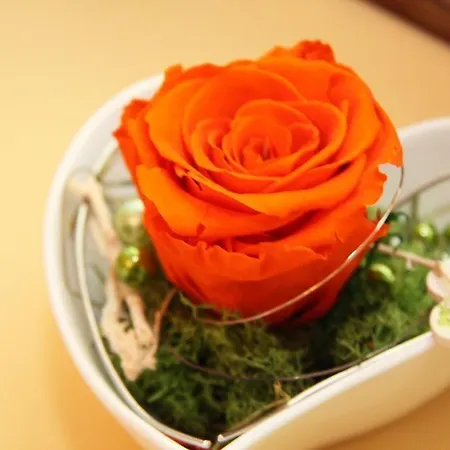 Hotel-restaurant Stefanihof ホテル