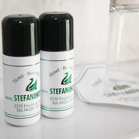 Hotel-restaurant Stefanihof 3* フシュル・アム・ゼー