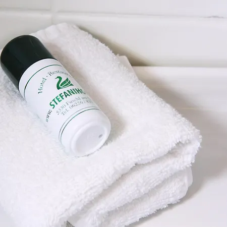 ホテル Hotel-restaurant Stefanihof 3*