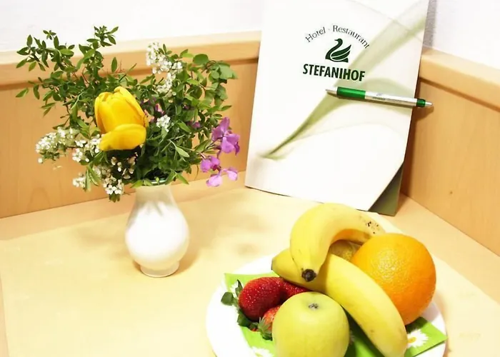 Hotel-restaurant Stefanihof 3* フシュル・アム・ゼー