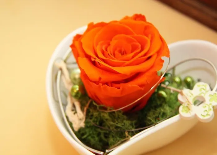 Hotel-restaurant Stefanihof ホテル